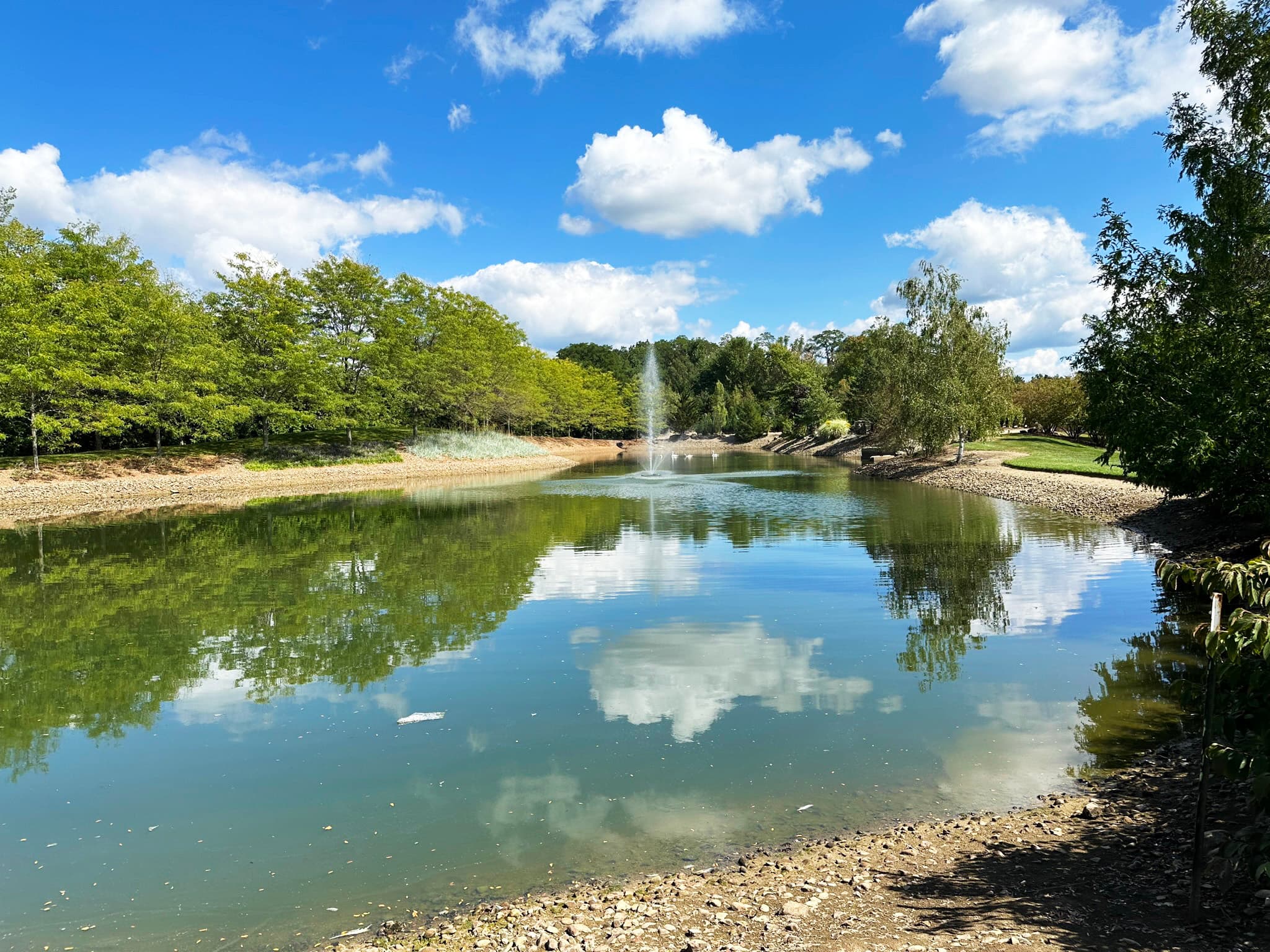 Retention pond on the Rusty Oak campus