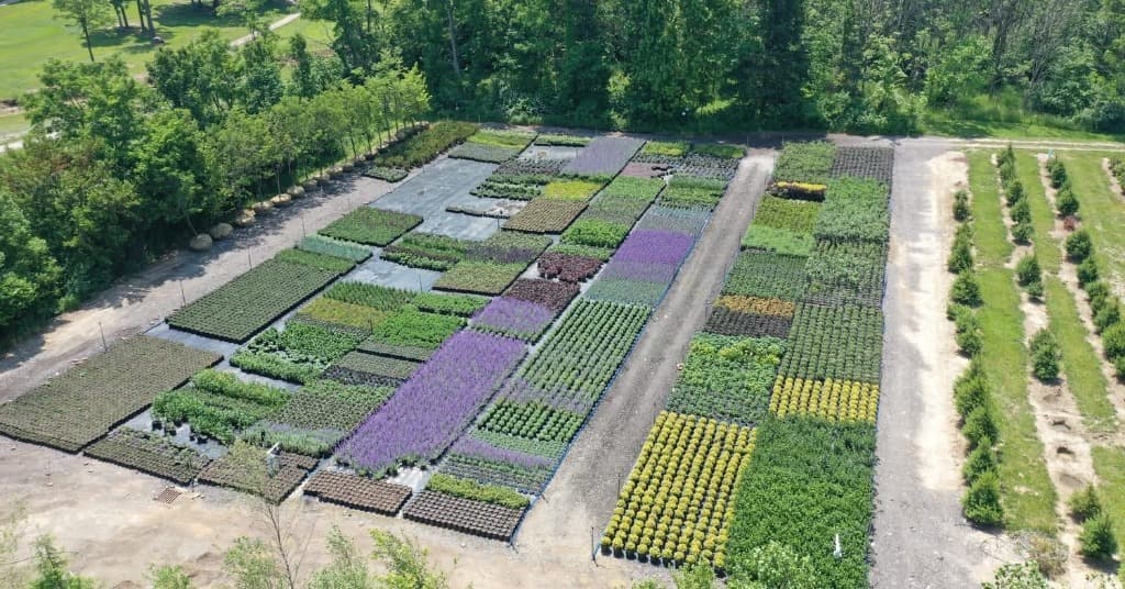 Container-Grown Flowering & Deciduous Shrubs